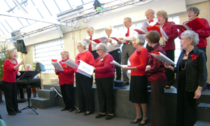 Singing for Fun Group